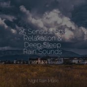 25 Sensual Spa Relaxation & Deep Sleep Rain Sounds