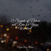 25 Sounds of Nature and Rain for Yoga Workout