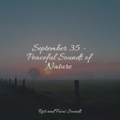 September 35 - Peaceful Sounds of Nature