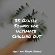 35 Gentle Sounds for Ultimate Chilling Out