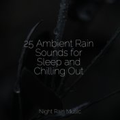 25 Ambient Rain Sounds for Sleep and Chilling Out