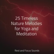 25 Timeless Nature Melodies for Yoga and Meditation
