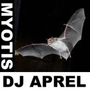 Myotis