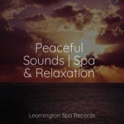 Peaceful Sounds | Spa & Relaxation