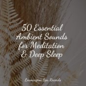 50 Essential Ambient Sounds for Meditation & Deep Sleep