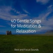 40 Gentle Songs for Meditation & Relaxation