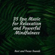 35 Spa Music for Relaxation and Powerful Mindfulness