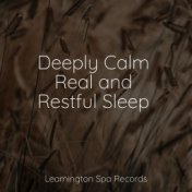 Deeply Calm Real and Restful Sleep