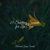 25 Soothing Sounds for Zen Spa