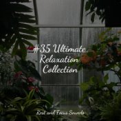 #35 Ultimate Relaxation Collection