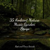 35 Ambient Nature Music Garden Songs