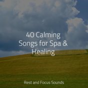 40 Calming Songs for Spa & Healing