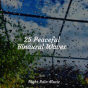 25 Peaceful Binaural Waves