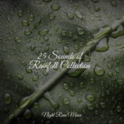 25 Sounds of Rainfall Collection