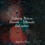 Calming Nature Sounds - Ultimate Relaxation