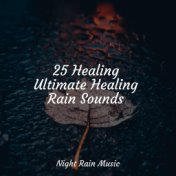 25 Healing Ultimate Healing Rain Sounds