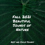 Fall 2021 Beautiful Sounds of Nature