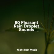 80 Pleasant Rain Droplet Sounds