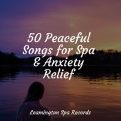 50 Peaceful Songs for Spa & Anxiety Relief