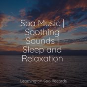 Spa Music | Soothing Sounds | Sleep and Relaxation