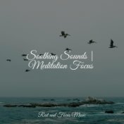 Soothing Sounds | Meditation Focus