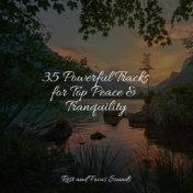 35 Powerful Tracks for Top Peace & Tranquility