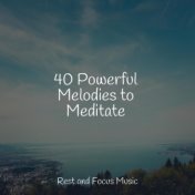 40 Powerful Melodies to Meditate