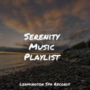 Serenity Music Playlist