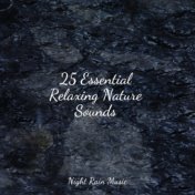 25 Essential Relaxing Nature Sounds