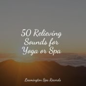 50 Relieving Sounds for Yoga or Spa