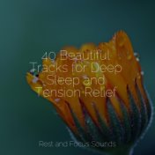 40 Beautiful Tracks for Deep Sleep and Tension Relief