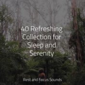 40 Refreshing Collection for Sleep and Serenity