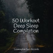 50 Workout Deep Sleep Compilation