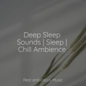 Deep Sleep Sounds | Sleep | Chill Ambience