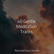 40 Gentle Meditation Tracks