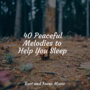 40 Peaceful Melodies to Help You Sleep