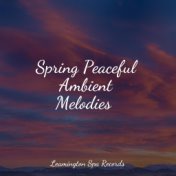 Spring Peaceful Ambient Melodies