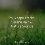 25 Sleepy Tracks: Serene Rain & Nature Sounds