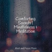 Comforting Sounds | Mindfulness & Meditation
