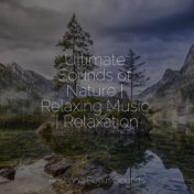 Ultimate Sounds of Nature | Relaxing Music | Relaxation