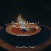 Sounds of Nature | Powerful Serenity