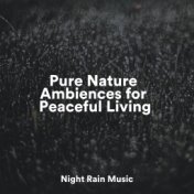 Pure Nature Ambiences for Peaceful Living