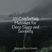 25 Comforting Melodies for Deep Sleep and Serenity