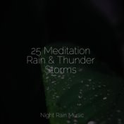 25 Meditation Rain & Thunder Storms