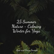 25 Summer Nature - Calming Winter for Yoga