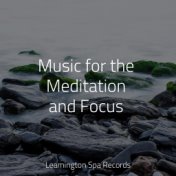Music for the Meditation and Focus