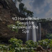 40 Harmonious Songs for Relaxing at the Spa