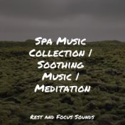 Spa Music Collection | Soothing Music | Meditation