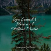 Spa Sounds | Sleep and Chillout Music