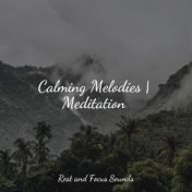 Calming Melodies | Meditation